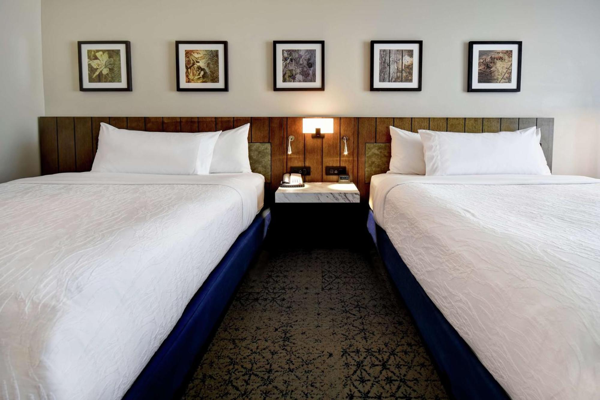 Hilton Garden Inn Jackson Ngoại thất bức ảnh