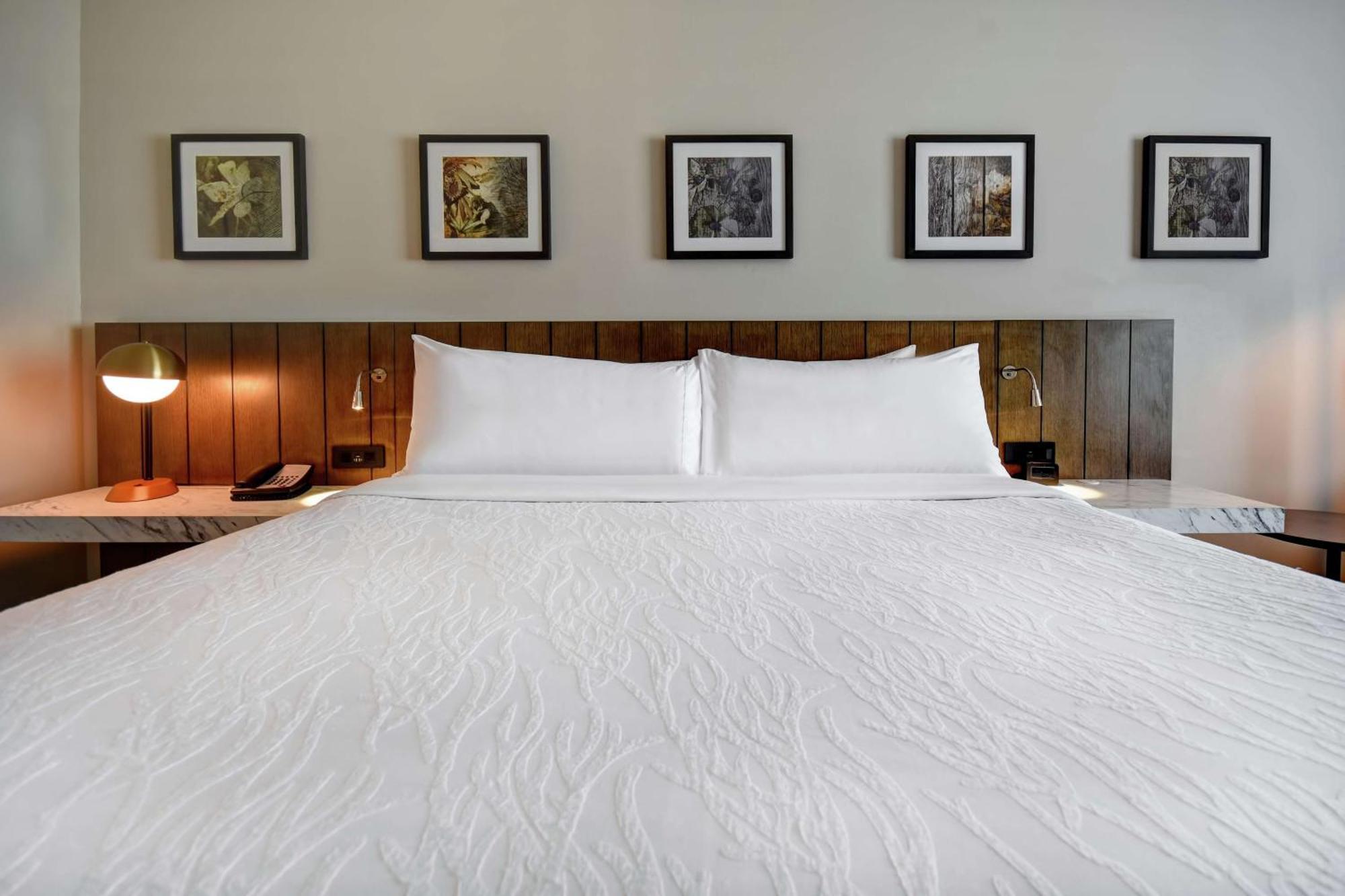 Hilton Garden Inn Jackson Ngoại thất bức ảnh