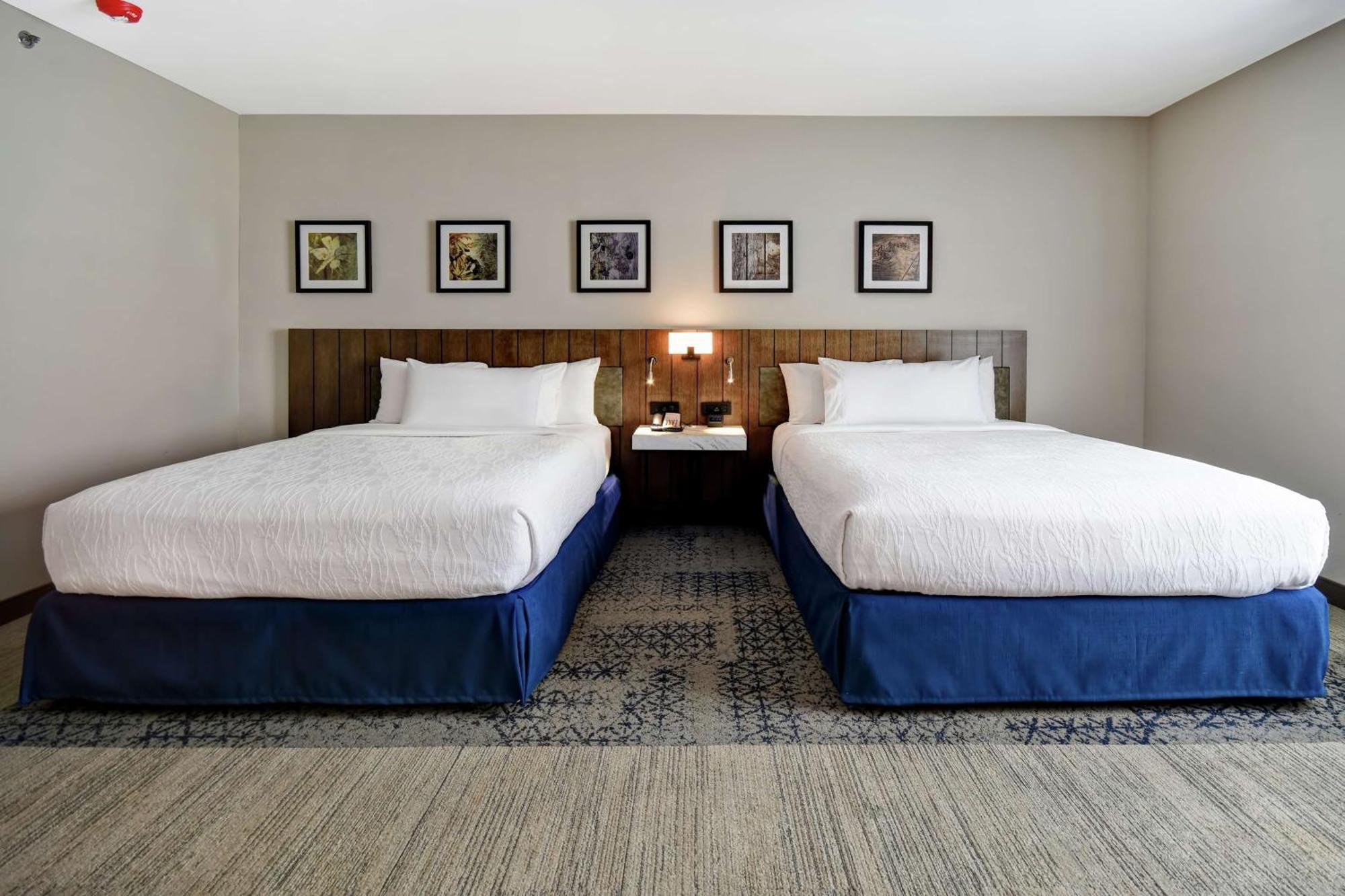 Hilton Garden Inn Jackson Ngoại thất bức ảnh